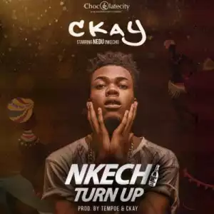 Ckay - “Nkechi Turn Up”